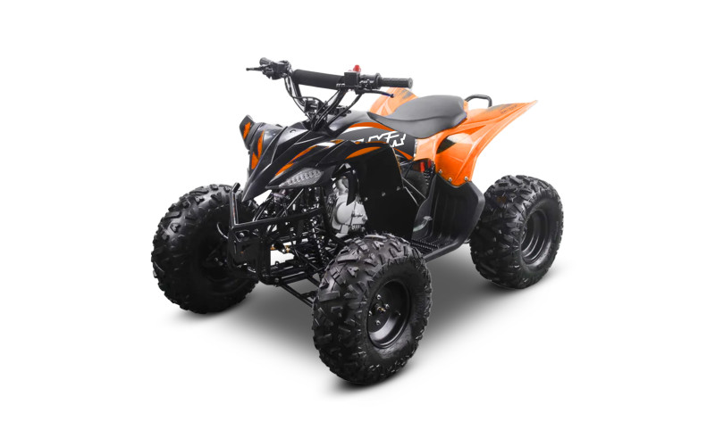 Quad enfant 110cc lmr erx - bleu