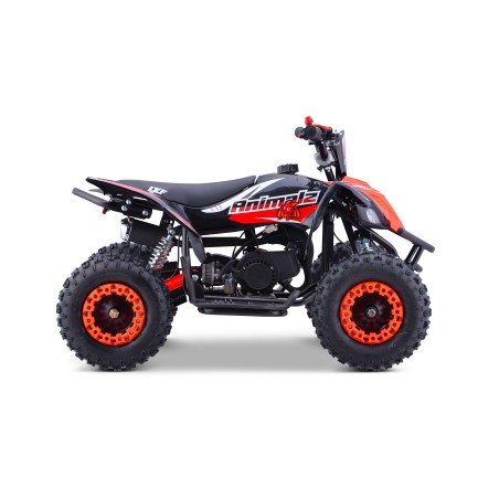 Pocket quad enfant 49cc LXF Animalz Draco 6" série RS - rouge Pocket Bike & Pocket Quad