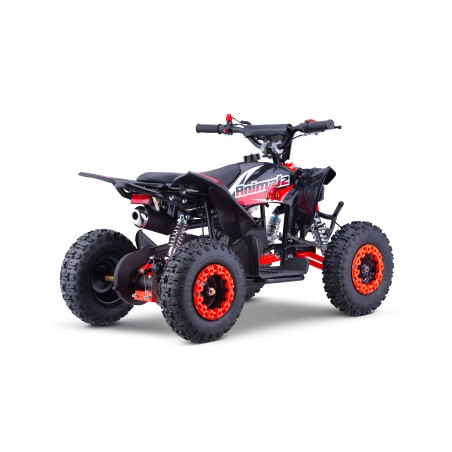 Pocket quad enfant 49cc LXF Animalz Draco 6" série RS - rouge Pocket Bike & Pocket Quad
