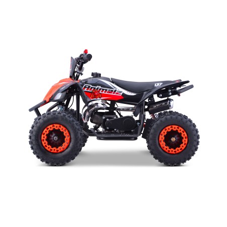 Pocket quad enfant 49cc LXF Animalz Draco 6" série RS - rouge Pocket Bike & Pocket Quad