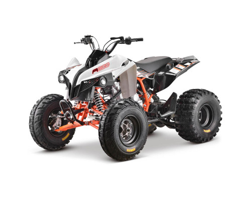 Quad 300cc Kayo A300 Nouveautés