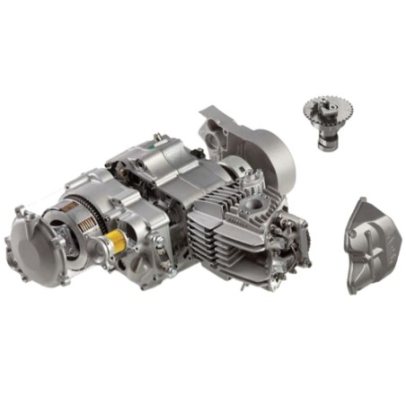 Pièces détachées Dirt bike, Pit bike Moteur Daytona 190 MX Anima FDX Daytona