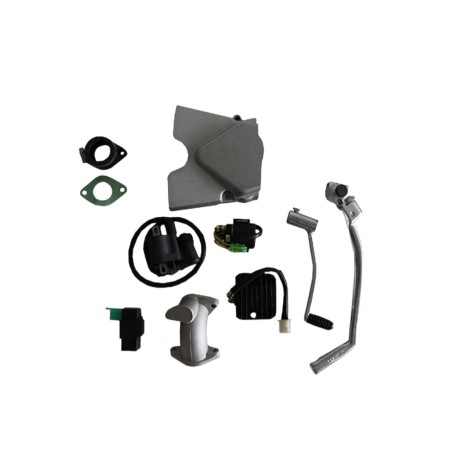 Pièces détachées Dirt bike, Pit bike Moteur Anima 190FE - 5 vitesses - démarreur électrique Daytona