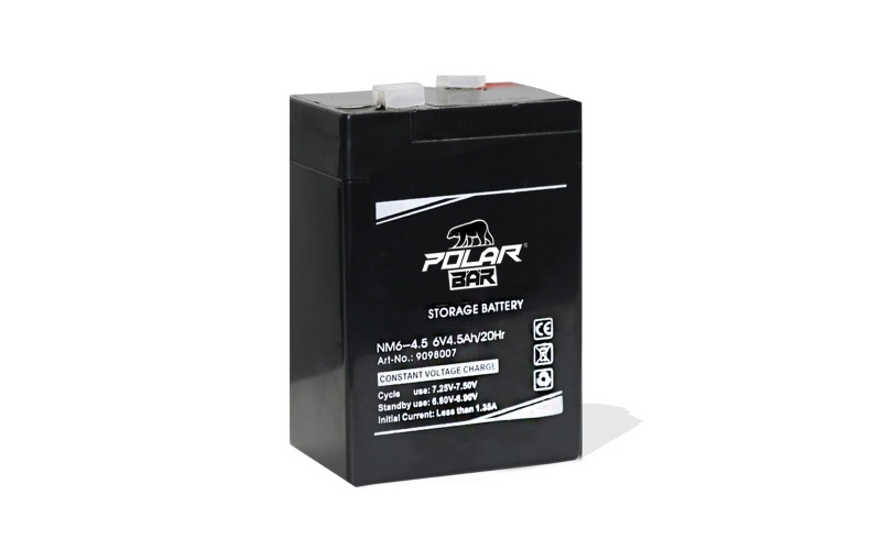 Pièces détachées Dirt bike, Pit bike Batterie Polar Bear AGM NM6-4.5 6V - 4.5 Ah LMR PARTS