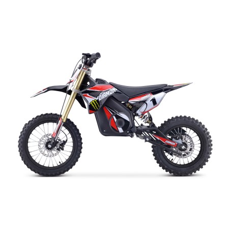 Minimoto électrique enfant 1000W
