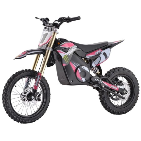 Minimoto électrique pour enfant RX 1300w