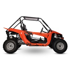 Buggy / Karting, Buggy 200cc Kayo S200, LeMiniRider
