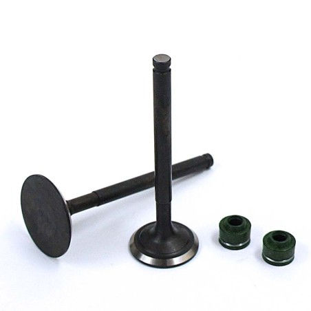 Pièces détachées Dirt bike, Pit bike Soupapes Ã¸23mm / Ã¸28mm pour YX 150cc / 160cc - 1P60 YX