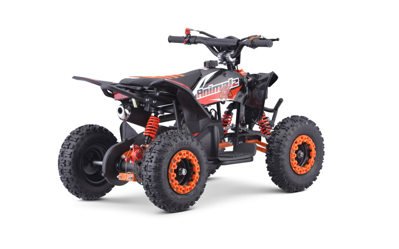 Pocket quad enfant 49cc LXF Animalz Rapax 6" série RS - orange - 2024 Pocket Bike & Pocket Quad