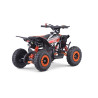 Pocket quad enfant 49cc LXF Animalz Rapax 6" série RS - orange - 2024 Pocket Bike & Pocket Quad