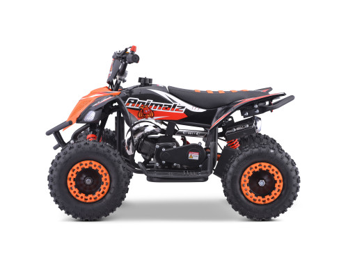 Pocket quad enfant 49cc LXF Animalz Rapax 6" série RS - orange - 2024 Pocket Bike & Pocket Quad