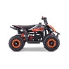 Pocket quad enfant 49cc LXF Animalz Rapax 6" série RS - orange - 2024 Pocket Bike & Pocket Quad