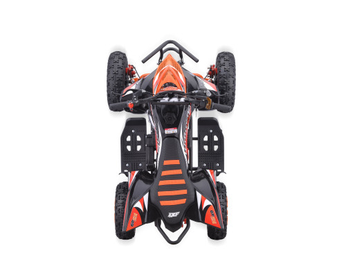 Pocket quad enfant 49cc LXF Animalz Rapax 6" série RS - orange - 2024 Pocket Bike & Pocket Quad