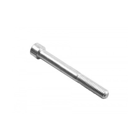 Axe de pivot de roue M10x85 mm leminirider