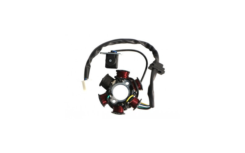 Stator - Plateau d'allumage - 6 Bobines - Démarreur leminirider diamon motors pour quad enfant 110cc