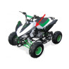 Extension d'aile avant - Gauche quad enfant typhon 110cc 125cc diamon motors le mini rider