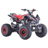 Quad enfant 125cc typhon version XXL - rouge - 2024 Quad enfant