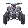 Quad enfant 125cc typhon version XXL - rouge - 2024 Quad enfant