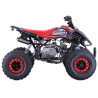 Quad enfant 125cc typhon version XXL - rouge - 2024 Quad enfant