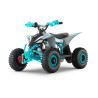 Quad enfant électrique LMR 1200w RPZ - gris nardo Quad enfant