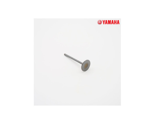 Pièces moteurs Soupe d'admission Yamaha 250 YZF Yamaha