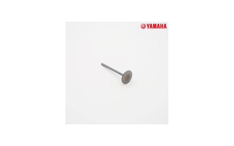 Pièces moteurs Soupe d'admission Yamaha 250 YZF Yamaha