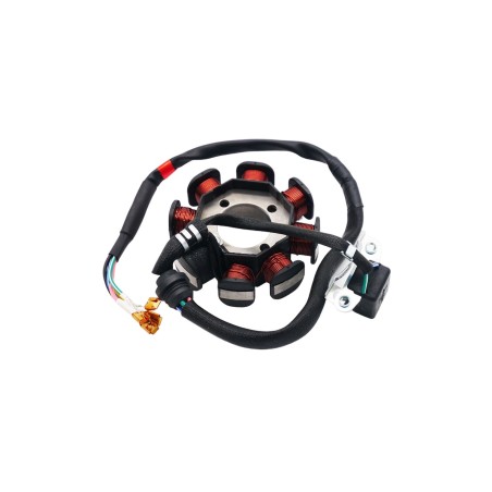 Stator Zongshen CPS250