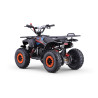 Pocket quad enfant 49cc LXF Animalz Draco 6" série R - orange Pocket Bike & Pocket Quad