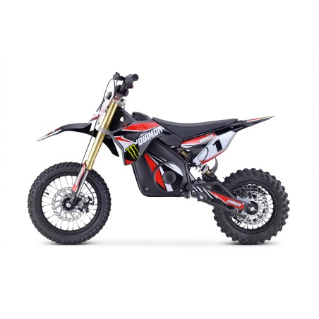 Découvrez une minimoto électrique d'exception pour les enfants à partir de 5 ans