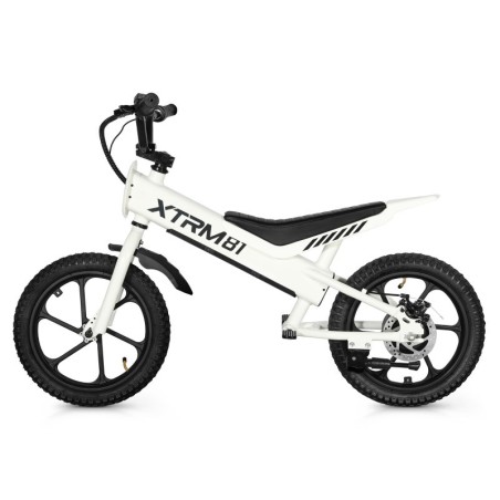 Draisienne électrique enfant 16" brushless 350Watts