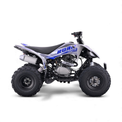 Quad 250cc lmr vortex