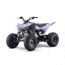 Quad 250cc lmr vortex