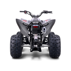 Quad 250cc lmr vortex