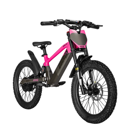 Draisienne électrique enfant diamon draxy 20" rose