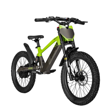 Draisienne électrique enfant diamon draxy 20" vert