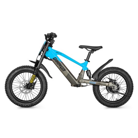 Draisienne électrique enfant diamon draxy 20" bleu