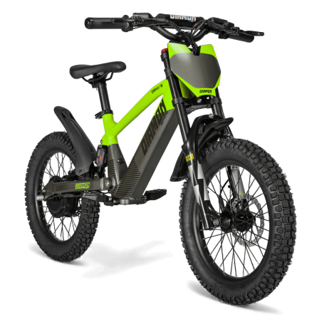 Draisienne électrique enfant diamon draxy 20" vert