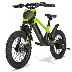 Draisienne électrique enfant diamon draxy 20" vert