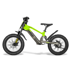 Draisienne électrique enfant diamon draxy 20" vert
