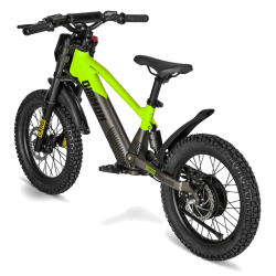 Draisienne électrique enfant diamon draxy 20" vert