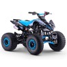 Quad LMR Pantera Roan 110cc automatique Quad enfant