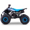 Quad LMR Pantera Roan 110cc automatique Quad enfant