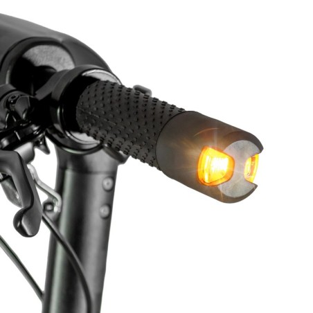 Trottinette électrique 600W XT81