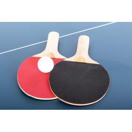Table de pingpong pliable
