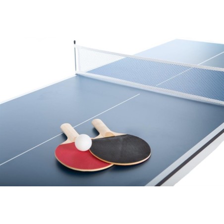 Table de pingpong pliable