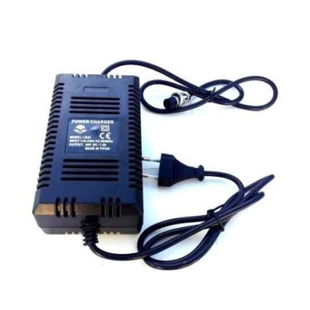 Pièces détachées Dirt bike, Pit bike Chargeur moto - 48V LMR PARTS
