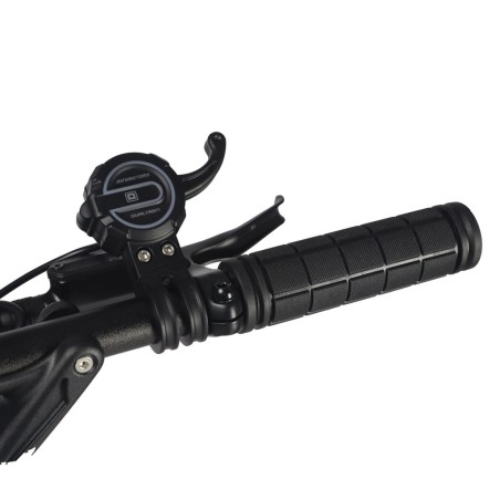 Dualtron Forever | Trottinette électrique 60V légère & double moteur | LeMiniRider