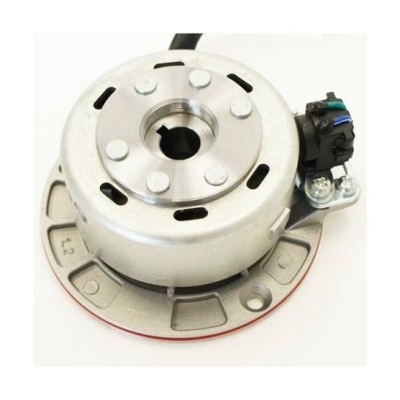 Pièces détachées Dirt bike, Pit bike Allumage Racing Mini Rotor LMR PARTS