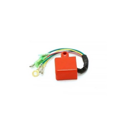 Pièces détachées Dirt bike, Pit bike Boîtier CDI Rotor Interne LMR PARTS