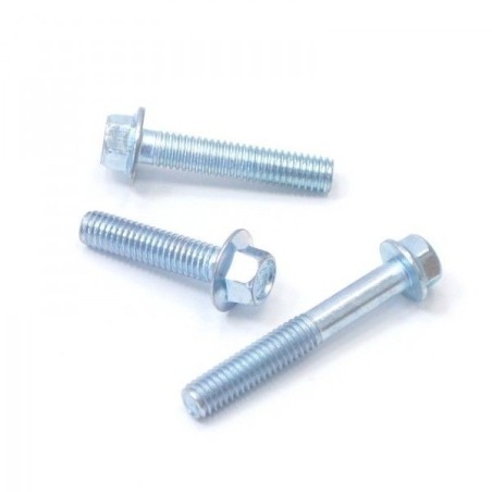 Visserie 3X vis de carter d'allumage LMR PARTS
